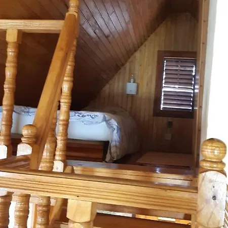 Vajat Kovacevic Chalet Divcibare