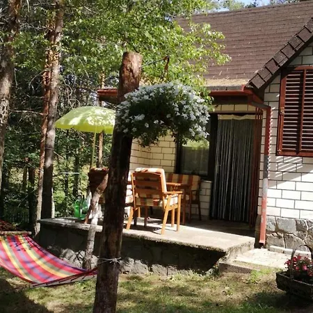 Vajat Kovacevic * Divčibare