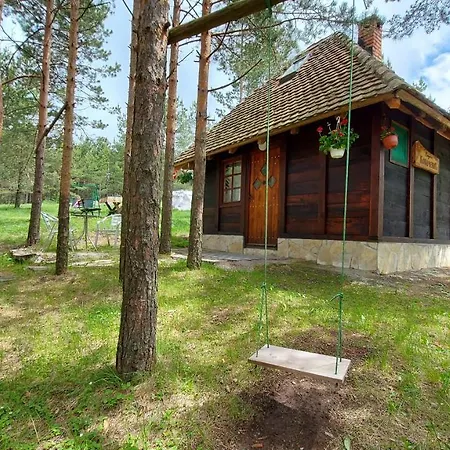 Vajat Kovacevic Divčibare