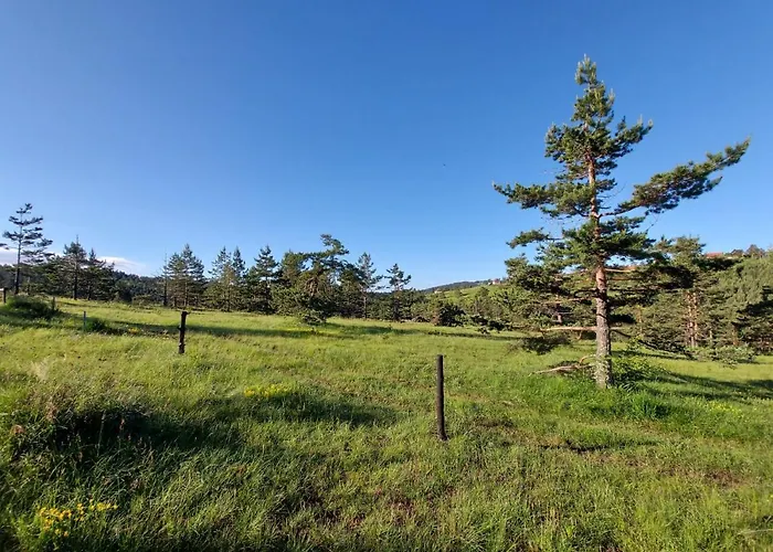 Vajat Kovacevic Alpesi faház Divčibare