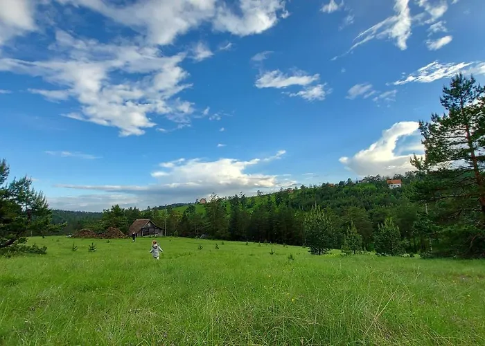 Alpesi faház Vajat Kovacevic Divčibare